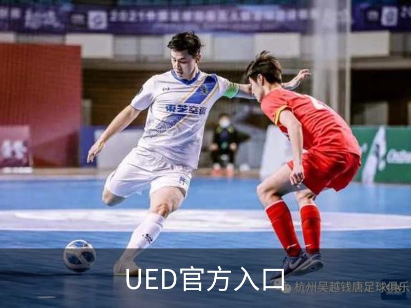 UED官方入口概况
